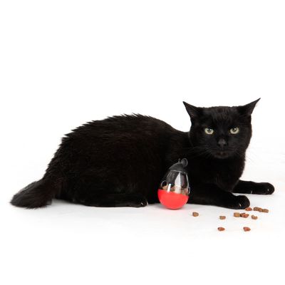 Chat noir allongé à côté d’un distributeur de friandises en plastique transparent et rouge, avec des croquettes éparpillées au sol.