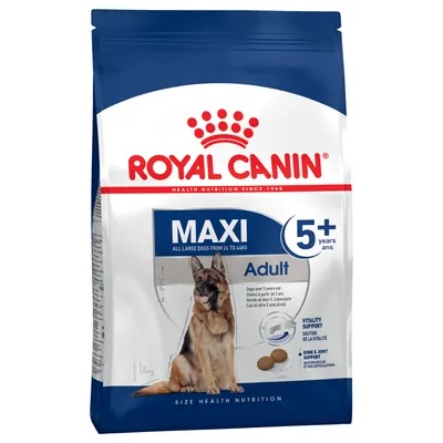 Royal Canin Maxi Adult para perros grandes de 26-44 kg a partir de 5 años. Apoya la vitalidad y la salud ósea y articular. Tamaño: pienso seco.