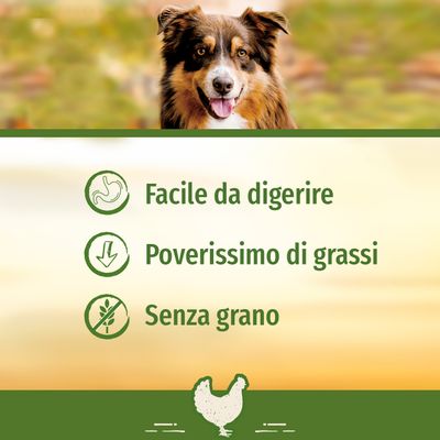 Facile da digerire, poverissimo di grassi, senza grano