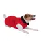 Quilted Dog Coat - Red approx. 60cm Back Length