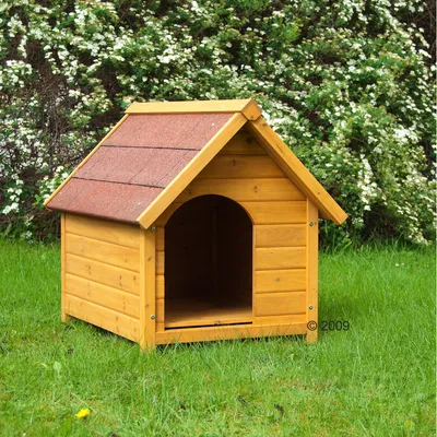 Wooden outdoor pet house with pitched roof and open entrance, placed on grass in a garden setting.
