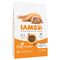 IAMS Advanced Nutrition Kitten with Fresh Chicken 10kg
