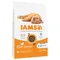 IAMS Advanced Nutrition Kitten con pollo fresco 10 kg