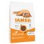 Sparpaket IAMS 2 x Großgebinde Kätzchen Huhn - 2 x 10 kg