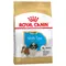 Royal Canin Shih Tzu Puppy výhodné balenie 2 x 1,5 kg