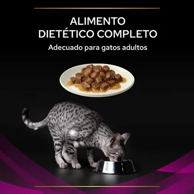 Texto: ALIMENTO DIETÉTICO COMPLETO. Adecuado para gatos adultos. Plato con comida húmeda y gato adulto gris comiendo de un cuenco metálico.