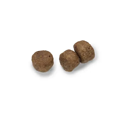 Close-up of three round brown kibble pieces shown on a white background to display size and shape.