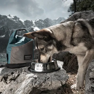 Wolf of Wilderness foderpåse och metallskål, hund dricker ur den i bergslandskap.