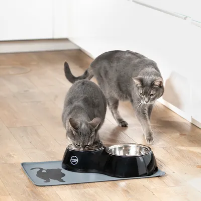 Deux chats gris près d'une double gamelle noire Cosma en métal posée sur un set de table gris avec silhouette de chat, dans une cuisine au sol en bois clair.