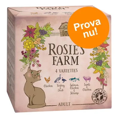 Rosie’s Farm 4 Varieties Adult kattmat: Chicken, Turkey & Duck, Salmon, Chicken & Shrimp, Lamb & Chicken. Orange cirkel med texten 'Prova nu!'. Grain Free Recipe synligt.