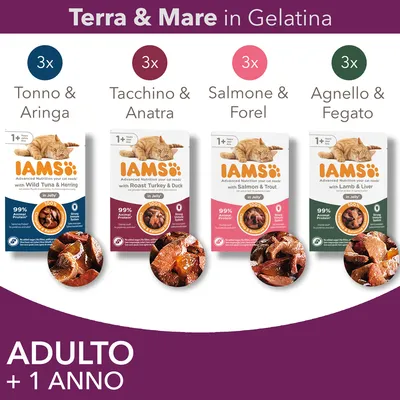 IAMS Advanced Nutrition Adult Mix in Gelatina 12 x 85 g  - Sea Mix