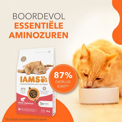 IAMS kattenvoer met zalm, 87% dierlijk eiwit, voor katten vanaf 1 jaar. 100% uitgebalanceerde voeding, sterk immuunsysteem, 3kg, recyclebare verpakking, zonder kunstmatige toevoegingen.