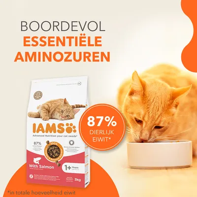 IAMS Advanced Nutrition Adult Cat met zalm - 3 kg