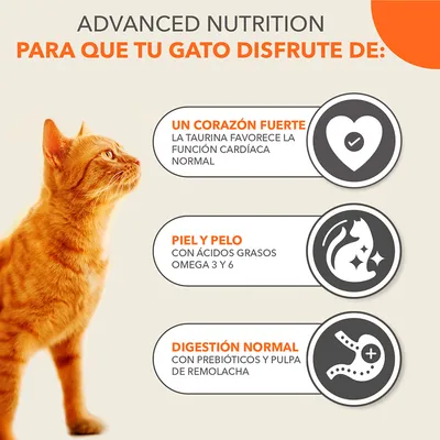 Texto en inglés y español: Advanced Nutrition para que tu gato disfrute de un corazón fuerte, piel y pelo con ácidos grasos omega 3 y 6, digestión normal con prebióticos y pulpa de remolacha.