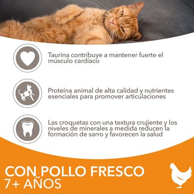 CON POLLO FRESCO 7+ AÑOS. Taurina contribuye a mantener fuerte el músculo cardíaco. Proteína animal de alta calidad y nutrientes esenciales para promover articulaciones. Las croquetas con una textura crujiente y los niveles de minerales a medida reducen la formación de sarro y favorecen la salud.