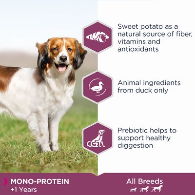 Sweet potato as a natural source of fiber, vitamins and antioxidants. Animal ingredients from duck only. Prebiotic helps to support healthy digestion. MONO-PROTEIN +1 Years. All Breeds.