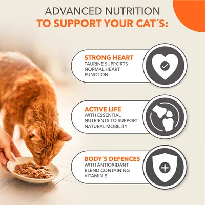 IAMS Advanced Nutrition Senior 7+ Land & Sea Collection i saus