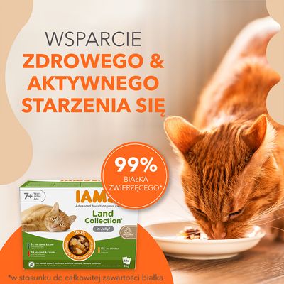 IAMS Land Collection w galarecie dla kotów od 7 lat. Warianty: 3x jagnięcina i wątróbka, 3x wołowina i marchew, 6x kurczak. Bez cukru, sztucznych dodatków i GMO. Opakowanie nadające się do recyklingu, 12x85g.