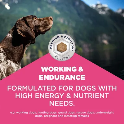 Eukanuba Special Care Working a Endurance Adult - 15 kg