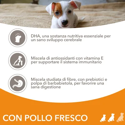 DHA per sviluppo cerebrale, antiossidanti con vitamina E per il sistema immunitario, fibre con prebiotici e polpa di barbabietola per digestione sana. Con pollo fresco.