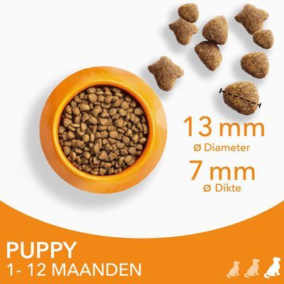 IAMS Advanced Nutrition Puppy & Junior Large Kip Hondenvoer - Dubbelpak: 2 x 12 kg