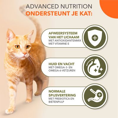 IAMS Advanced Nutrition Graanvrij met zeevis - 2,5 kg