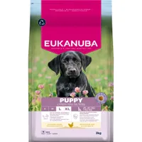 Eukanuba Premium Nutrition Puppy Large & Giant Breed pollo - 15 kg