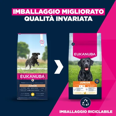 Eukanuba Premium Nutrition Junior Large & Giant Breed Pollo - 15 kg