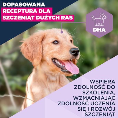 Eukanuba Premium Nutrition Puppy Large & Giant Breed, jagnięcina i ryż - 12 kg