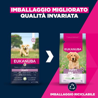 Eukanuba Premium Nutrition Puppy Large & Giant Breed Agnello & Riso