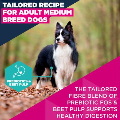 Ajándék: 100 g Eukanuba Premium Nutrition Adult Medium Breed csirke