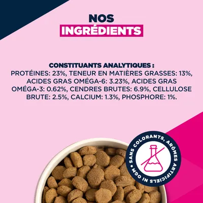 Eukanuba Premium Nutrition Adult Large et Giant Breed Saumon - 12 kg