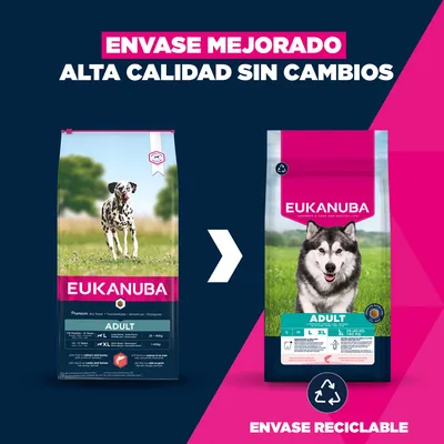 Eukanuba Premium Nutrition Adult Large & Giant Breed salmón - 12 kg