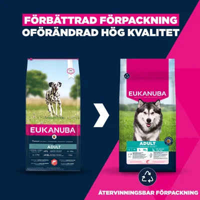 Eukanuba Premium Nutrition Adult Large & Giant Breed Salmon - 12 kg