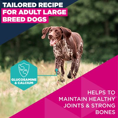 Eukanuba Premium Nutrition Adult Large & Giant Breed lohi