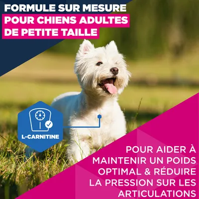 Eukanuba Premium Nutrition Mature Small Breed au poulet - lot % : 2 x 3 kg