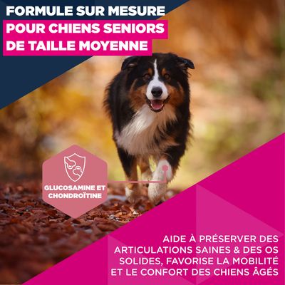 Eukanuba Premium Nutrition Senior Medium Breed au poulet pour chien - 15 kg