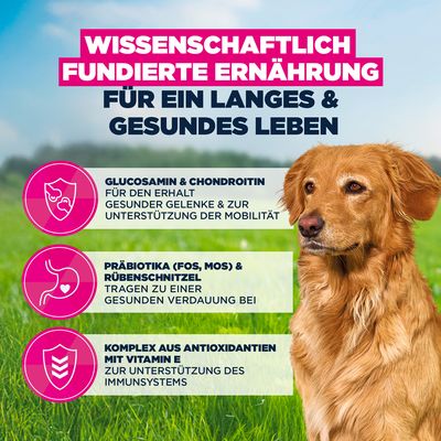 Eukanuba Premium Nutrition Senior Large & Giant Breed с агнешко и ориз - 12 кг