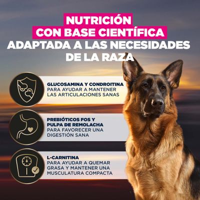 Glucosamina y condroitina para unas articulaciones sanas, prebióticos fructo-oligosacáridos y pulpa de remolacha para una digestión saludable, L-carnitina para la quema de grasa y una musculatura compacta
