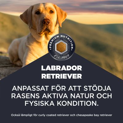 Premium Nutrition Est. 1969. Labrador Retriever. Anpassat för att stödja rasens aktiva natur och fysiska kondition. Också lämpligt för curly coated retriever och chesapeake bay retriever.