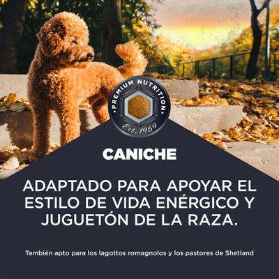 Premium Nutrition Est. 1969. Caniche. Adaptado para apoyar el estilo de vida enérgico y juguetón de la raza. También adecuado para Lagotto Romagnolo y Shetland Sheepdog.