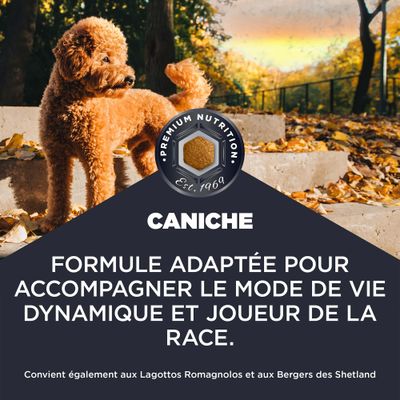 Premium Nutrition Caniche. Formule pour un mode de vie dynamique et joueur, également adaptée au Lagotto Romagnolo et au Shetland Sheepdog.
