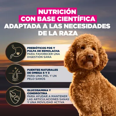 Nutrición basada en la ciencia, adaptada a las necesidades de la raza: prebióticos y pulpa de remolacha para una digestión saludable, omega 6 y 3 para la piel y el pelaje, glucosamina y condroitina para las articulaciones.