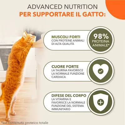 IAMS Advanced Nutrition Grain Free Sea Collection in Salsa - Set %: 48 x 85 g