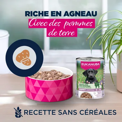 Eukanuba Puppy riche en agneau et pommes de terre - lot économique : 24 x 400 g