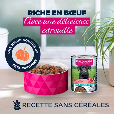 Eukanuba Adult Riche en bœuf et citrouille - lot % : 48 x 400 g