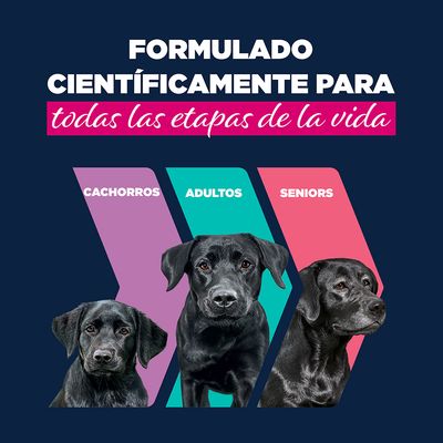 Eukanuba Adult rico en vacuno con calabaza