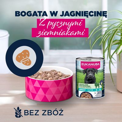 Eukanuba Adult, jagnięcina z ziemniakami