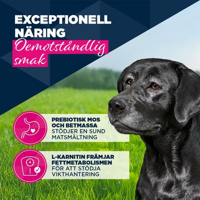 Eukanuba Senior Rich in öring med sötpotatis