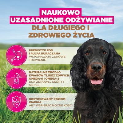 Eukanuba Grain Free Adult, dziczyzna - 12 kg